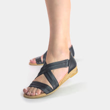 Load image into Gallery viewer, Pinaz 317