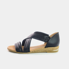 Load image into Gallery viewer, Pinaz 317