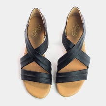 Load image into Gallery viewer, Pinaz 317