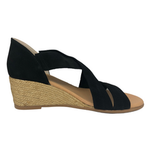 Load image into Gallery viewer, Pinaz 517