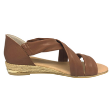 Load image into Gallery viewer, Pinaz 317