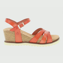 Load and play video in Gallery viewer, Yokono RONDA 118