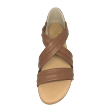 Load image into Gallery viewer, Pinaz 317