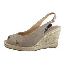 Load image into Gallery viewer, Pinaz 148