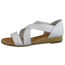 Load image into Gallery viewer, Pinaz 317