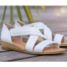 Load image into Gallery viewer, Pinaz 317