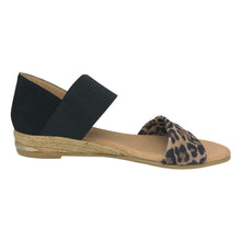 Load image into Gallery viewer, Pinaz 321