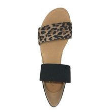 Load image into Gallery viewer, Pinaz 321