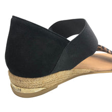 Load image into Gallery viewer, Pinaz 321