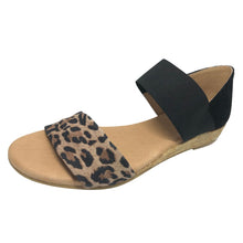 Load image into Gallery viewer, Pinaz 321