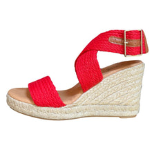 Load image into Gallery viewer, Pinaz 479