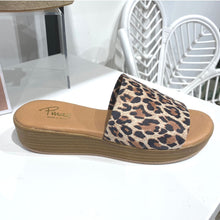 Load image into Gallery viewer, Pinaz 739