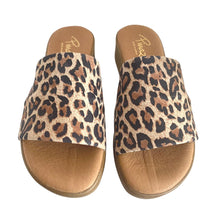 Load image into Gallery viewer, Pinaz 739