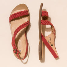 Load image into Gallery viewer, El Naturalista 5192 TULIP