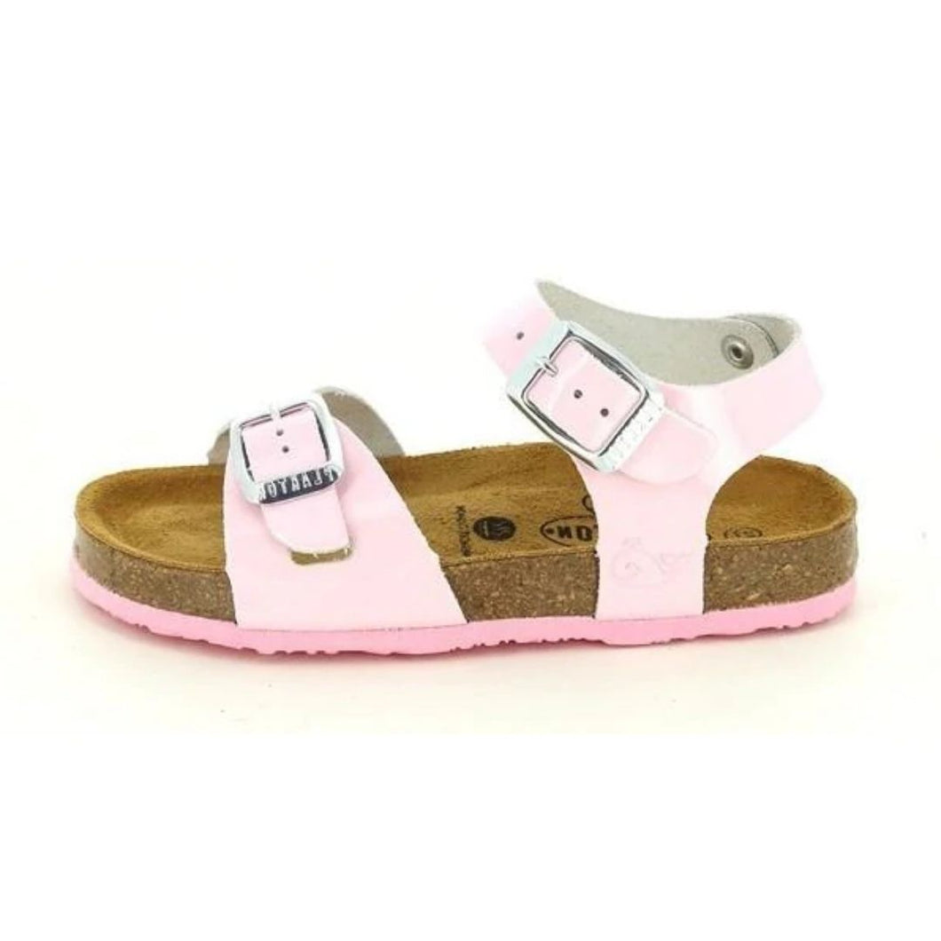 Plakton Kids 131407